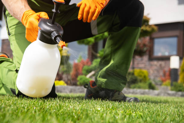 Reliable Jacksboro, TX Pest Control Solutions