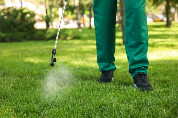 Reliable Jacksboro, TX Pest Control Solutions