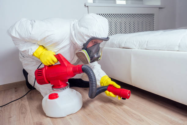 Reliable Jacksboro, TX Pest Control Solutions