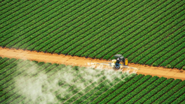 Best Best Pest Control Near Me  in Jacksboro, TX