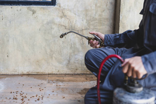 Best Pest Control Near Me  in Jacksboro, TX
